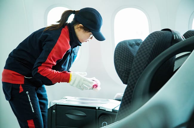 In-flight cleaning business image